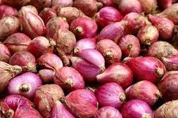 Bawang Merah