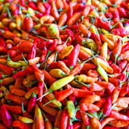 Cabe rawit merah